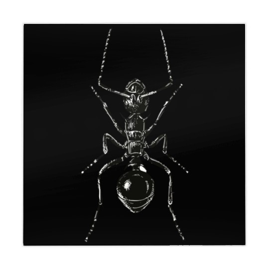Black Ant Mahjong Mats