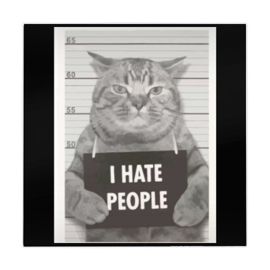 I hate people cat Mahjong Mats