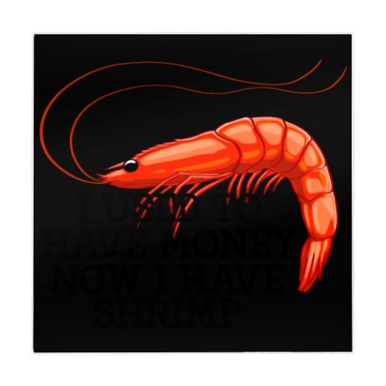 I Used To Have Money Now I Have Shrimp Mahjong Mats