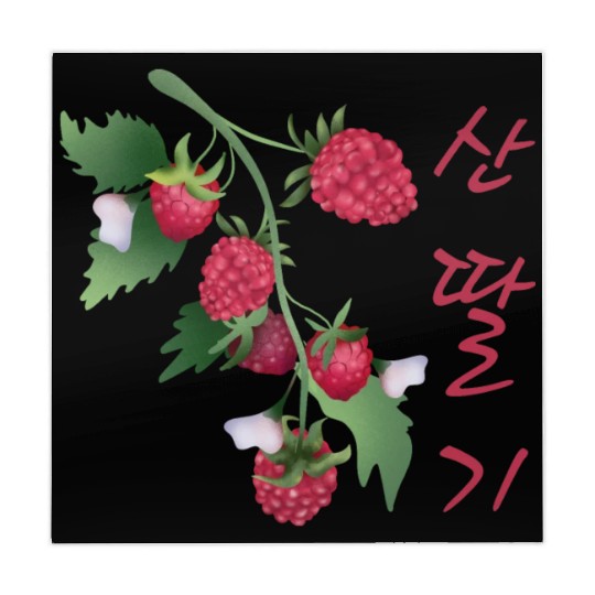 Korean Raspberry Mahjong Mats