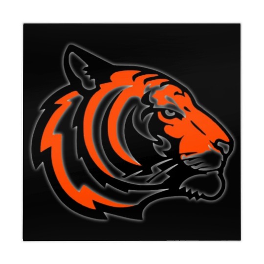 Colorful Tiger Head Mahjong Mats