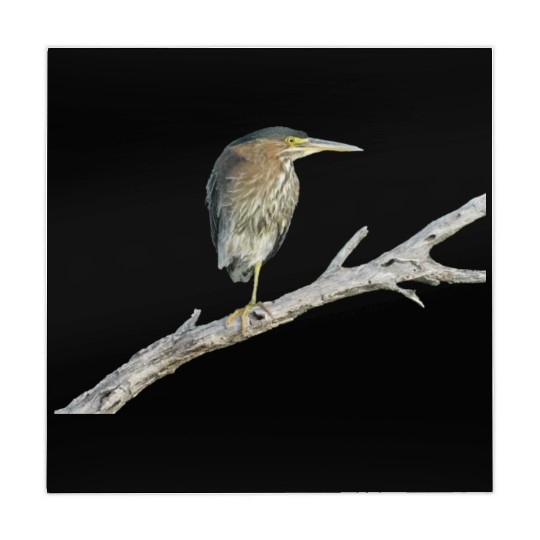 Green Heron Mahjong Mats