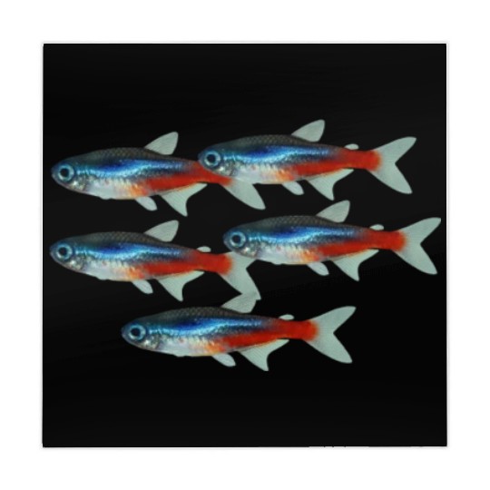 Neon Tetra Fish Bright Color Freshwater Sea Life Mahjong Mats