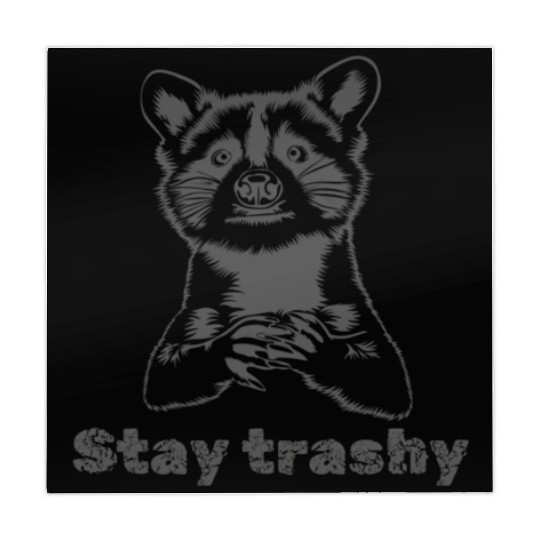 Funny Stay Trashy Possum Raccoon Vintage Street Mahjong Mats