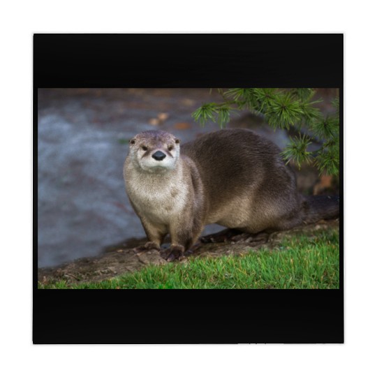 Adorable Otter on the Riverbank Mahjong Mats