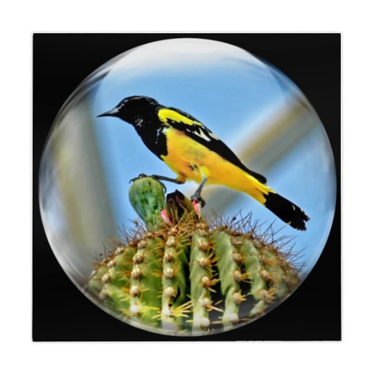 Life In a Bubble Collection-Domed Bird in Glass Mahjong Mats