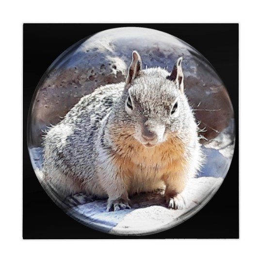 Life In a Bubble Collection- Grand Canyon Squirrel Mahjong Mats