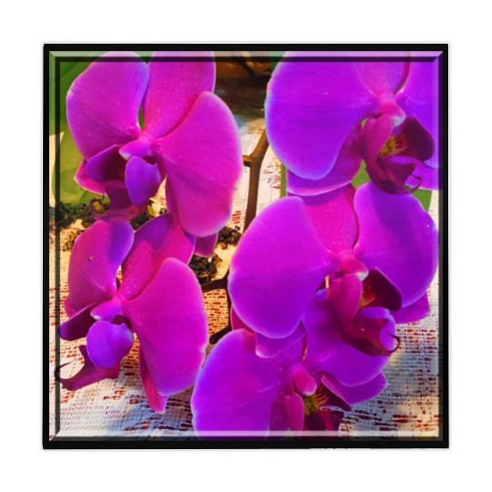 Orchid 4 Mahjong Mats