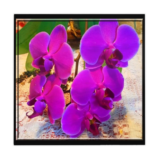 Orchid 3 Mahjong Mats