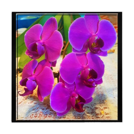 Orchid 2 Mahjong Mats