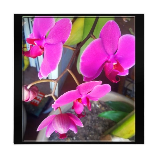 Orchid 1 Mahjong Mats