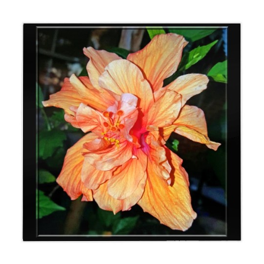 Hibiscus 1 Mahjong Mats