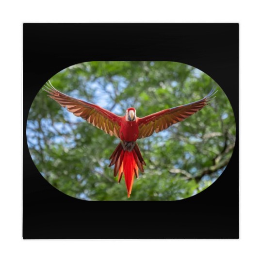 bird physiology 1 Mahjong Mats