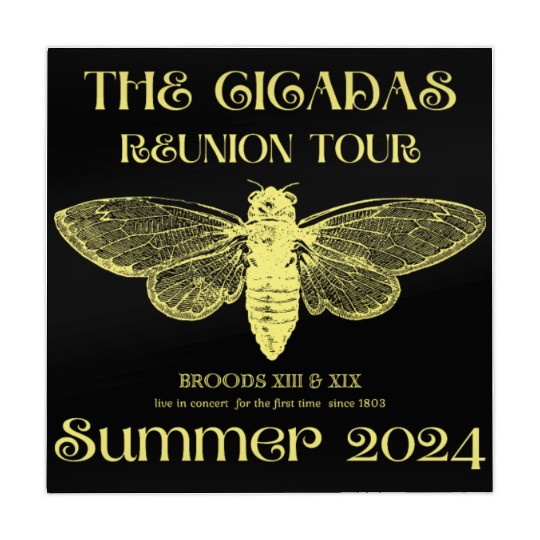 The Cicadas Reunion Summer 2024 Cicada Nature Love Mahjong Mats