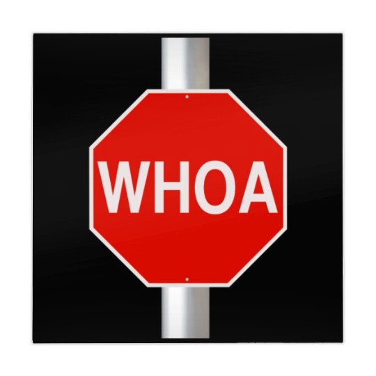 woah surprise Mahjong Mats