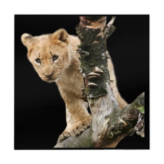 Lion King. Mahjong Mats