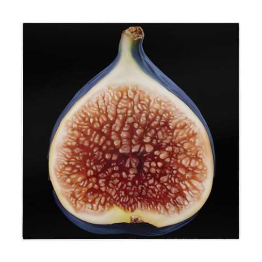 Fig Realistic Mahjong Mats