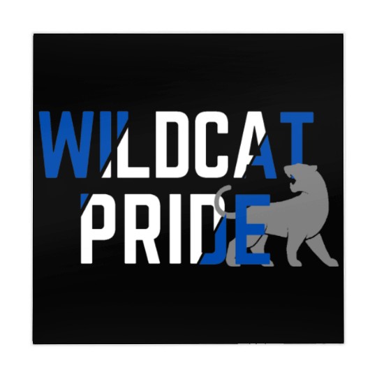 Wildcats Pride Go Mahjong Mats