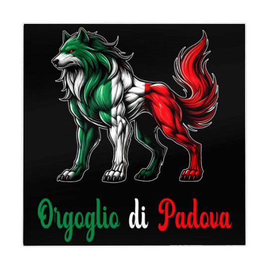 The pride of Padova Italy flag Mahjong Mats