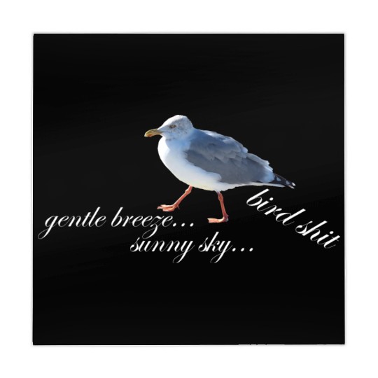 sun sea atlantic coast seagull holidays bird shit Mahjong Mats