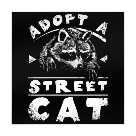 Adopt a street cat raccoon Mahjong Mats