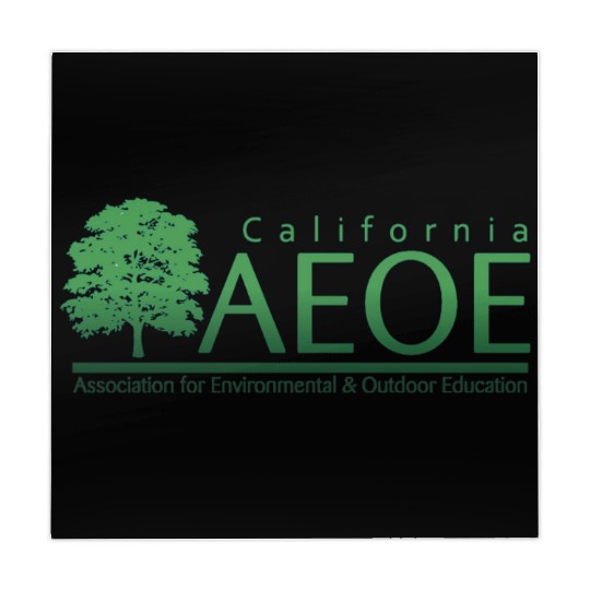 AEOE Logo Green Mahjong Mats