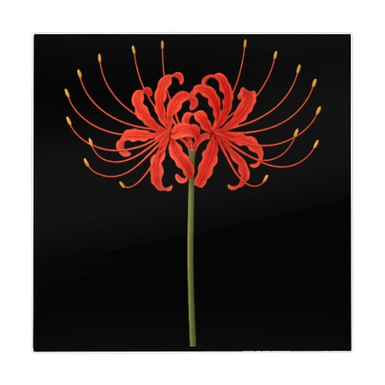 Red Spider Lily Mahjong Mats – Japanese Death Flower Ar