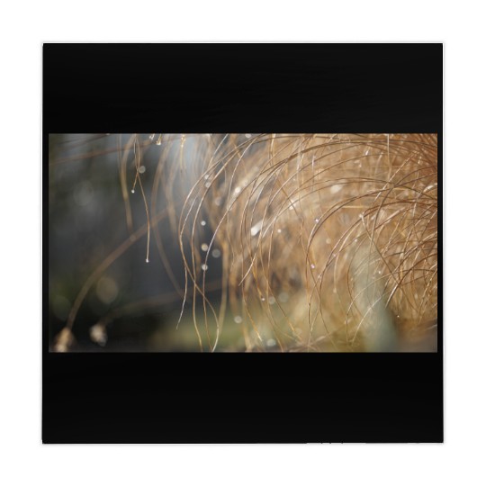 Tiny Dew Drops on Delicate Golden Grass Mahjong Mats