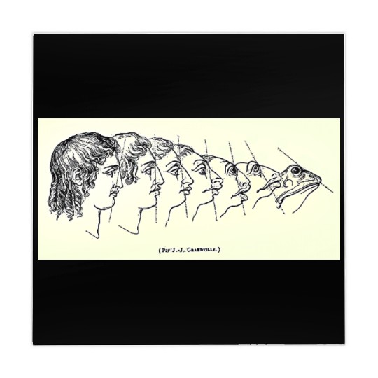 Vintage Evolution Man Into Frog - Werefrog! Mahjong Mats