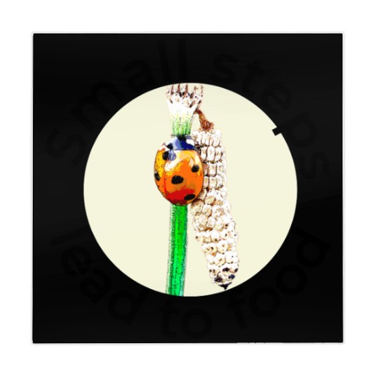 Small Steps Lead to Food – Ladybug Art Mahjong Mats