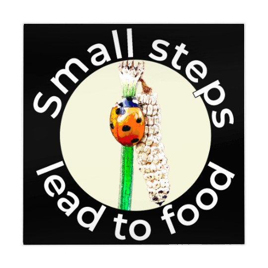 Small Steps – Ladybug White Text Mahjong Mats