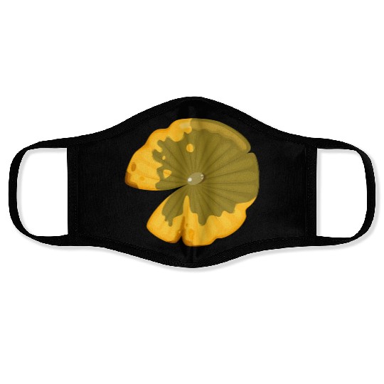 Lotus leaf Face Masks