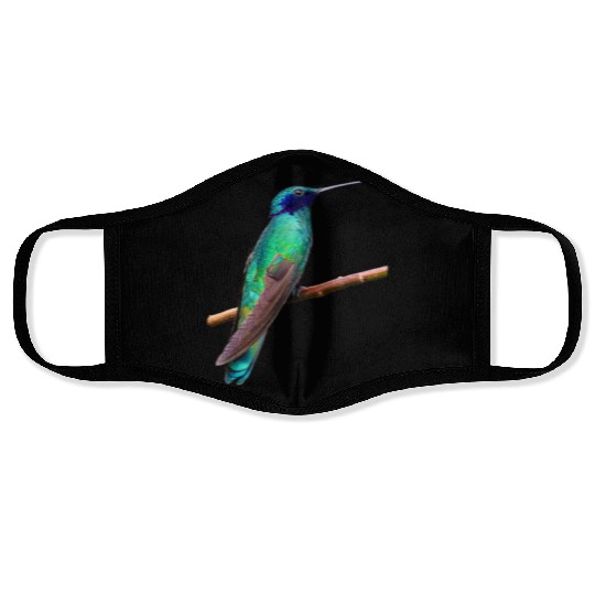Hummingbird Face Masks