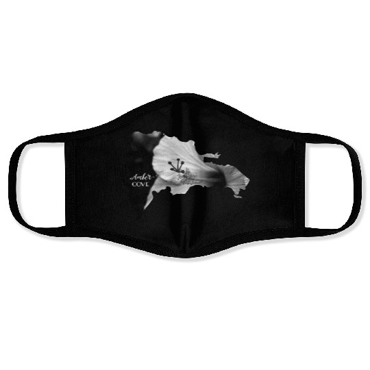 AMBER COVE Dominican Republic Map Puerto Plata DR Face Masks