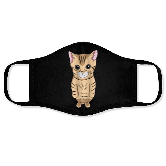 Cute Standing Cat Meme Cute Kitten Standing on Two Face Masks