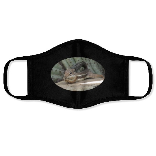 Harris's antelope squirrel Face Masks
