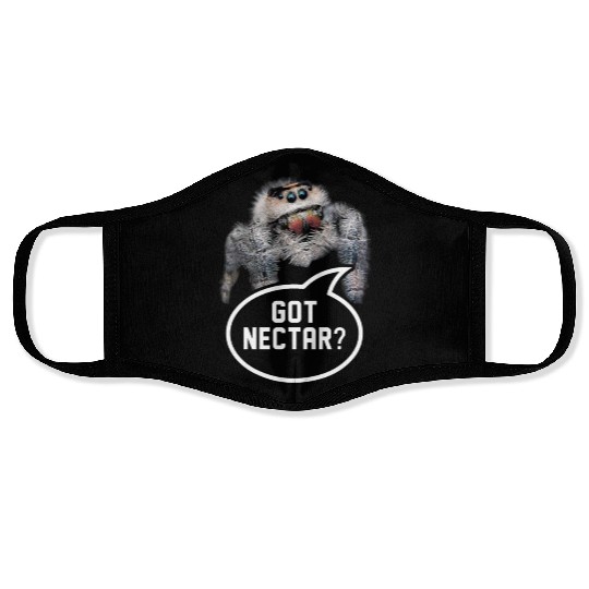 Exotic Pet Collection Lifestyle Jumping Spiders Face Masks