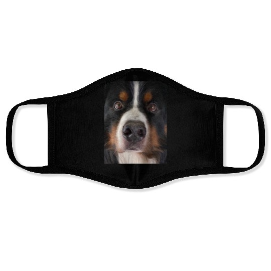 Bernese Mountain Dog Face Masks