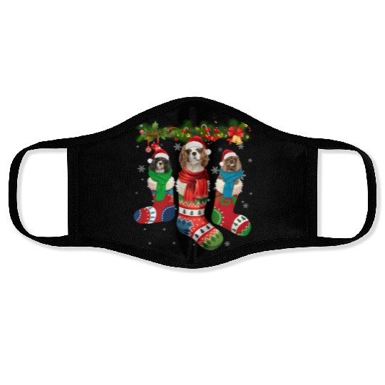 Three Cavalier King Charles Spaniel In Sock Face Masks