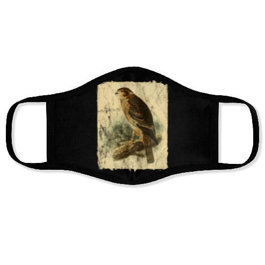 Bird Facon Hawk Face Masks