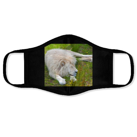 Slumbering Ivory King South African White Lion Face Masks