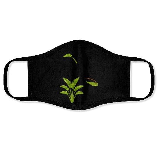 Plant Daddy Face Masks
