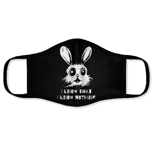 "I Know Nothing" Wise Bunny Face Masks