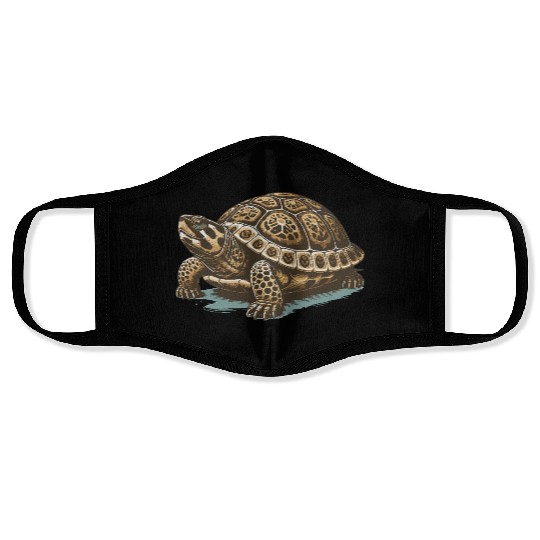 Turtle Face Masks