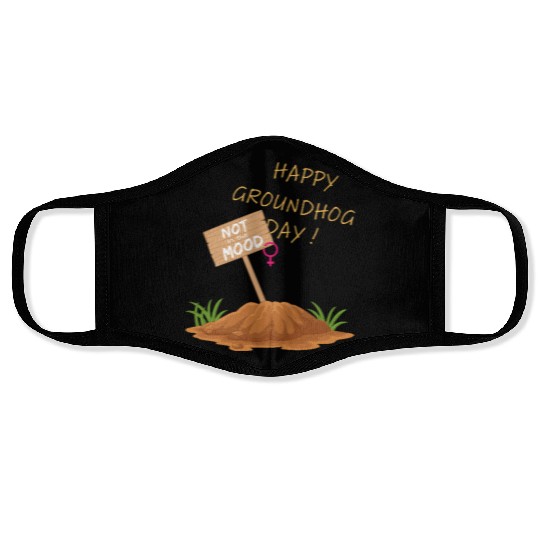 Happy Groundhog Day Not in the Mood funny graphic Face Masks