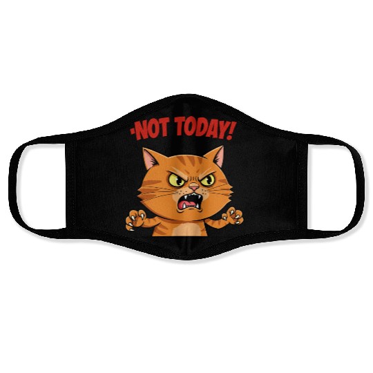 Not Today Angry Cat Face Masks | Funny Grumpy Cat Mem