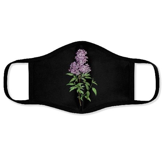 Lavender Bloom Botanical Illustration Face Masks