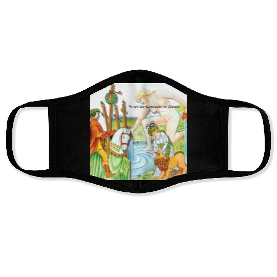 True Crime Tarot Everyday Items Face Masks