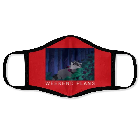 Disney Pocahontas Meeko Raccoon Weekend Plans Face Masks