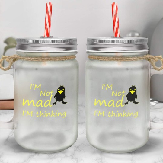 I'm Not Mad I'm Thinking Cute Angry Bird Mason Jar Cups
